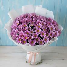 Букет цветов из:  Хризантемы в Коломне