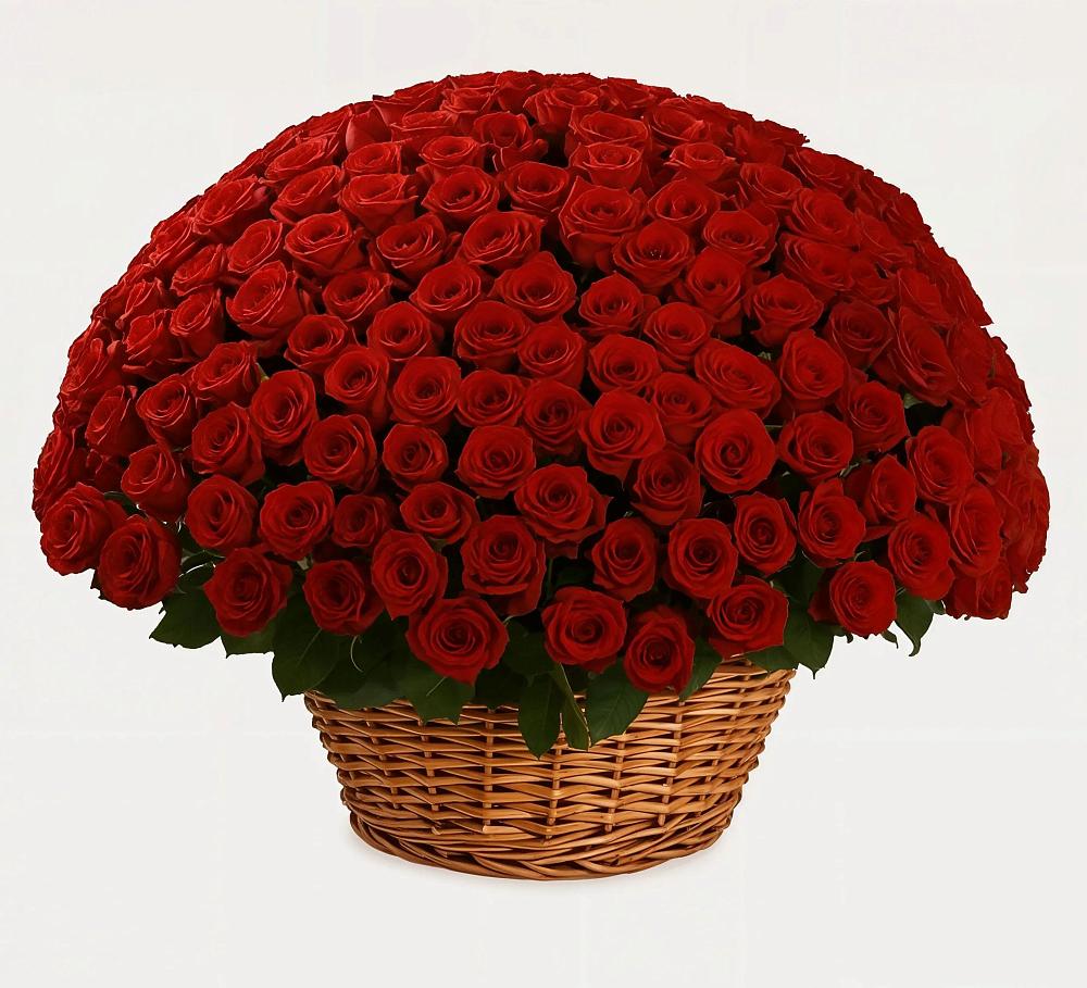 251 Премиум красная роза в Коломне Премиум букет из: Розы в Коломне