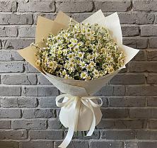 Букет цветов из:  Ромашки в Коломне