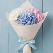 Букет цветов из:  Гортензия #REPLACE_PRED# Коломне