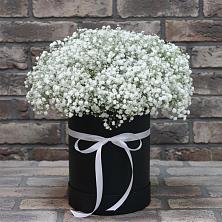 Композиция коробка гипсофил в Коломне Цветочная композиция из Гипсофила в шляпной коробке в Коломне